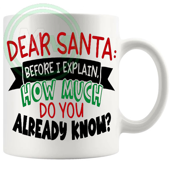 Dear Santa Before I Explain Mug