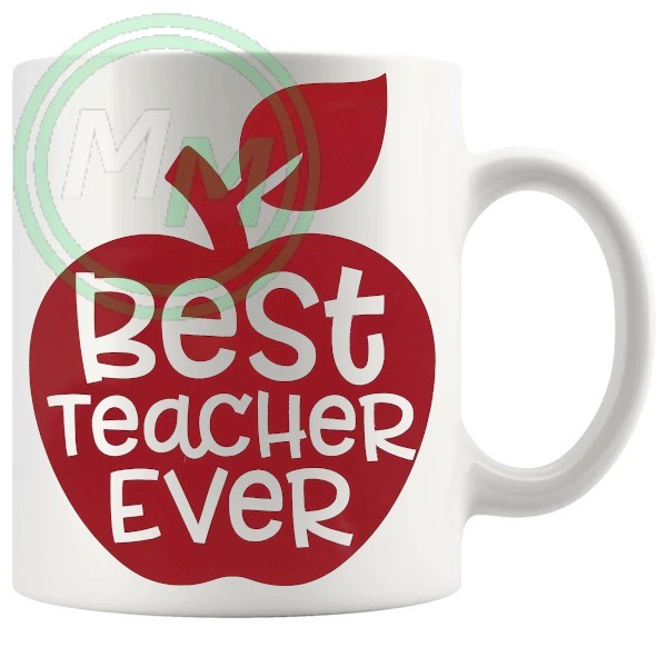 best teacher ever novelty mug