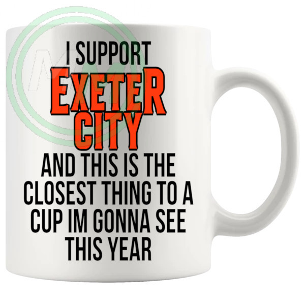 exeter city closest thing to a cup