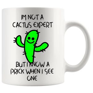 Not A Cactus Expert mug, rude cactus joke mug gift